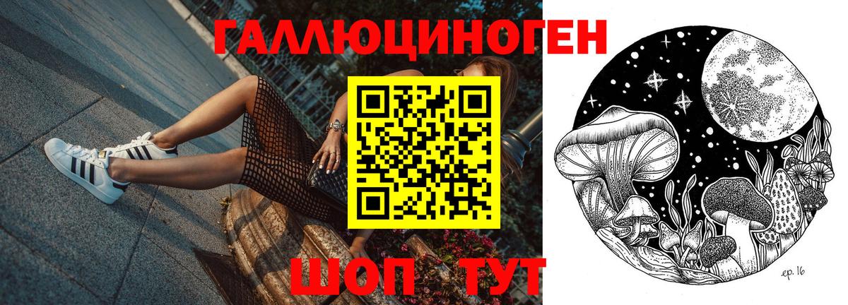 Гурьевск  Псилоцибиновые грибы Cubensis  Вход с VPN 